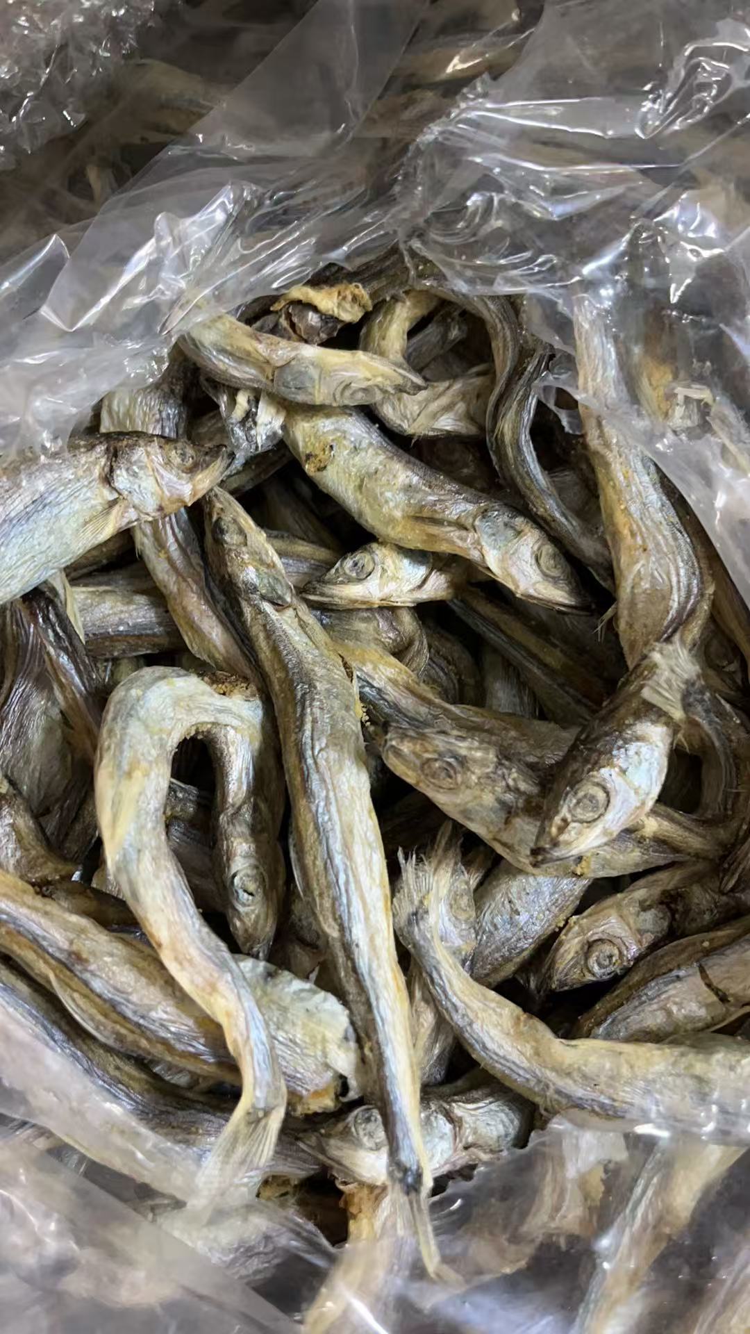freeze dried capelin