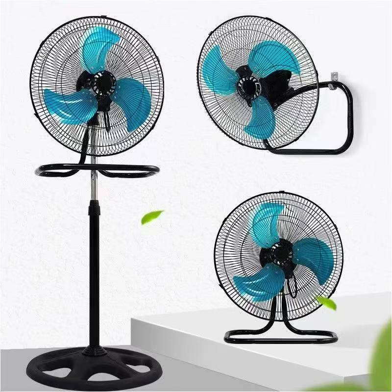 fan