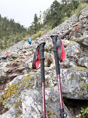 2025 New Style Trekking Poles with Automatic Locking System