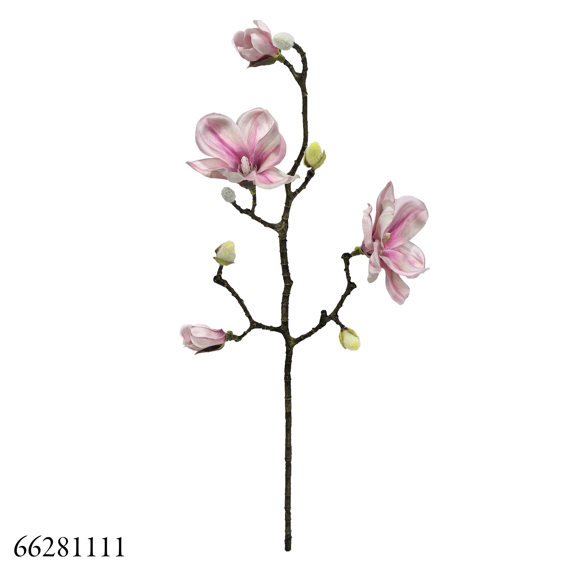 58cm Single Stem Magnolia