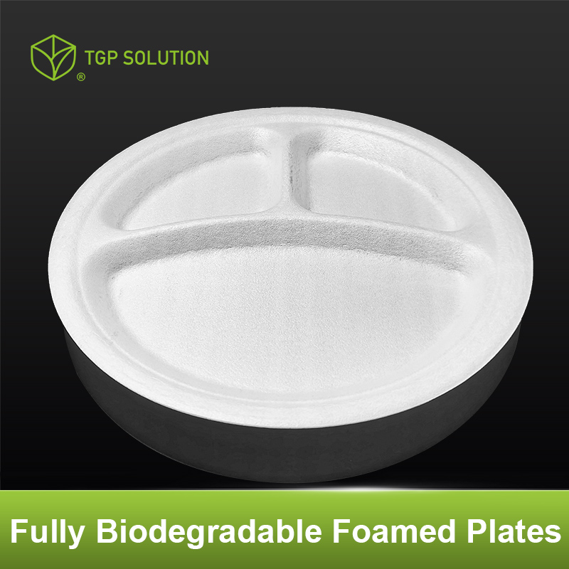 Fully biodegradable foamed dinner plates, disposable tableware