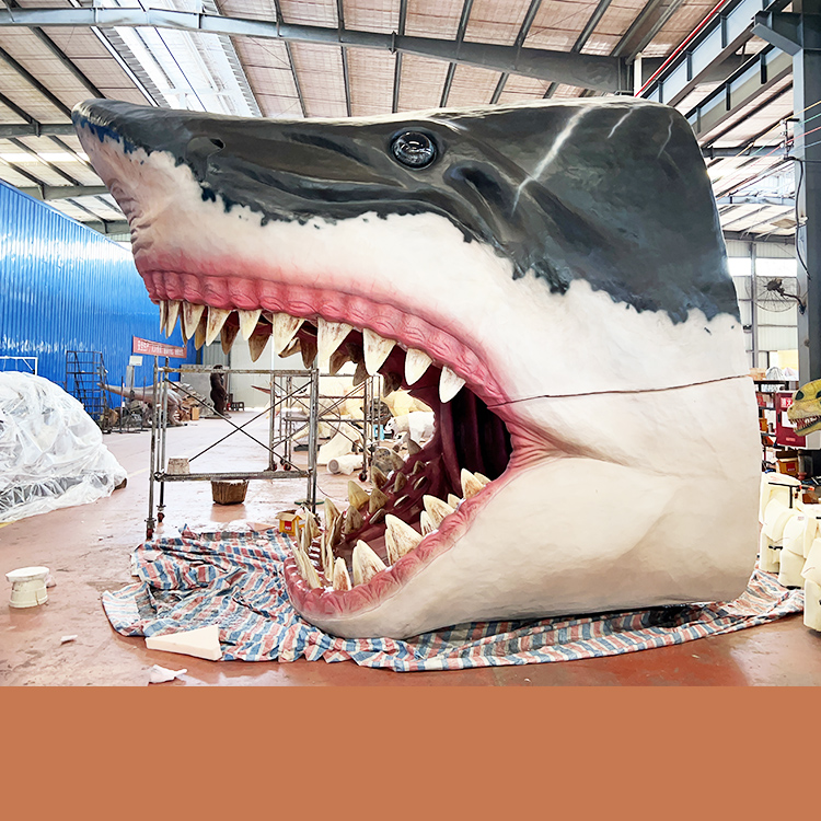Shark head