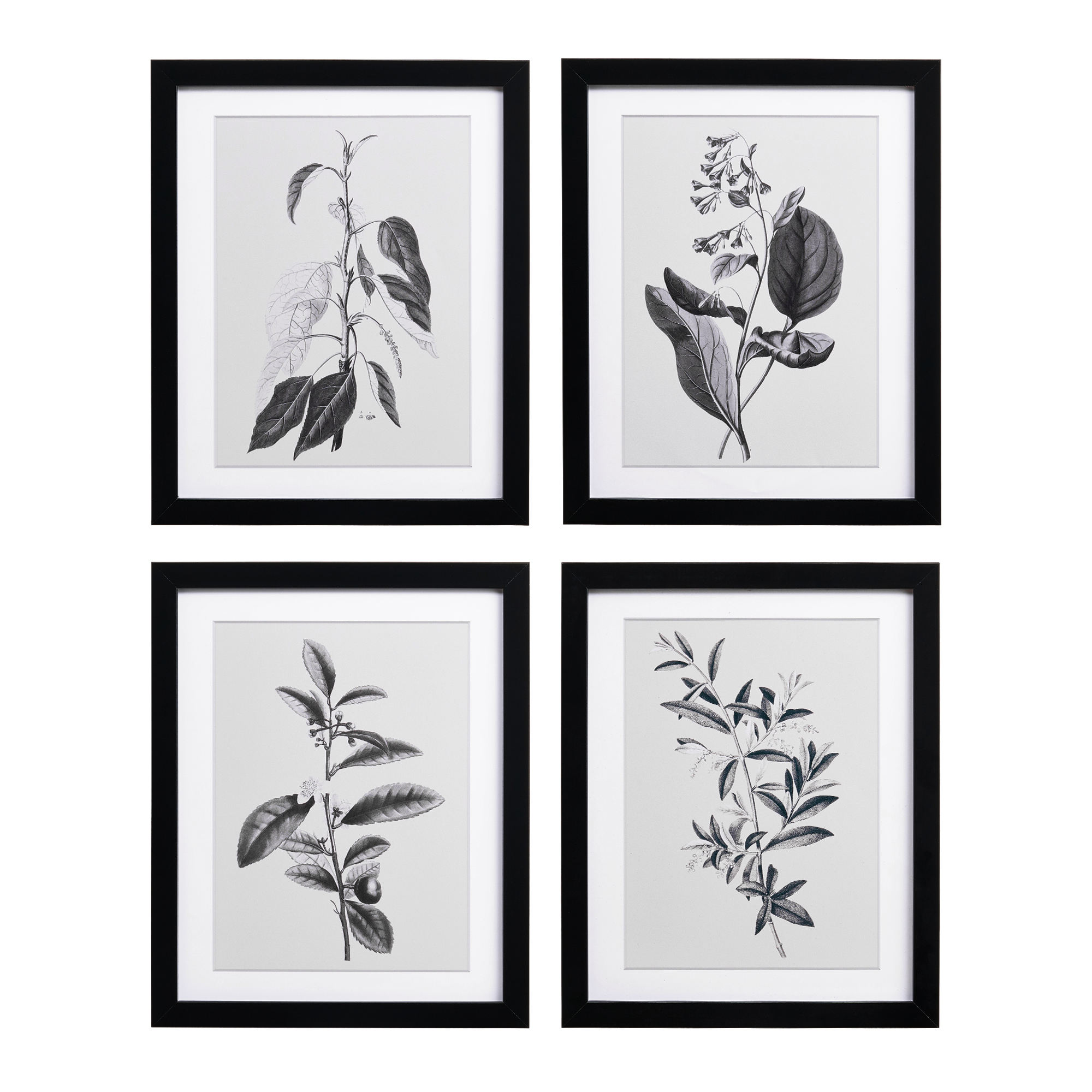 Wall Art Frame