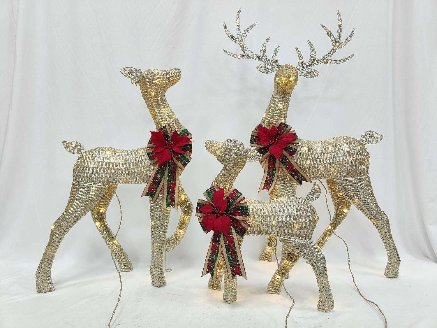 Deer family