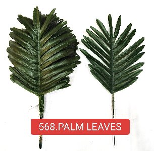 Palm Leaves