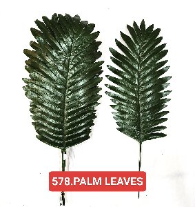Palm Leaves