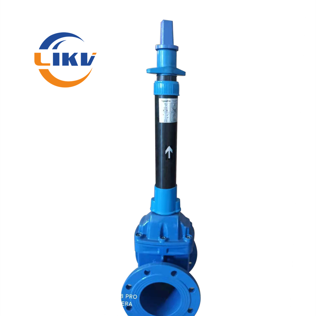 Extended rod gate valve