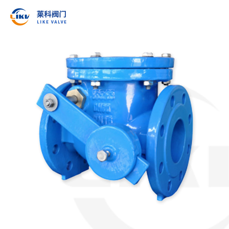Heavy hammer type check valve