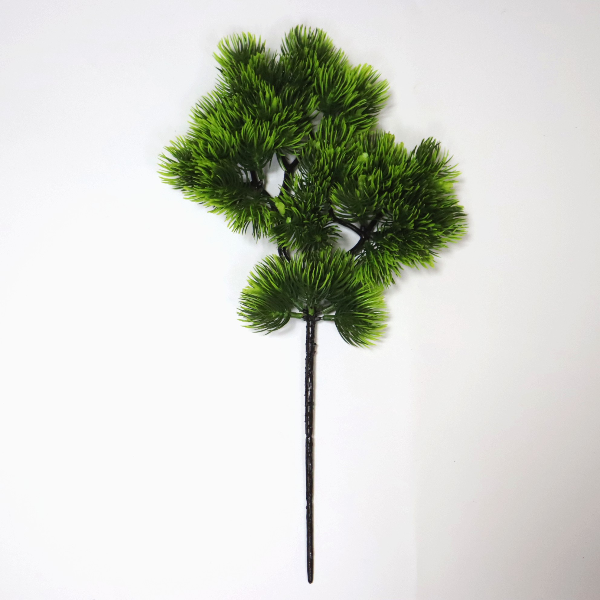 Pine