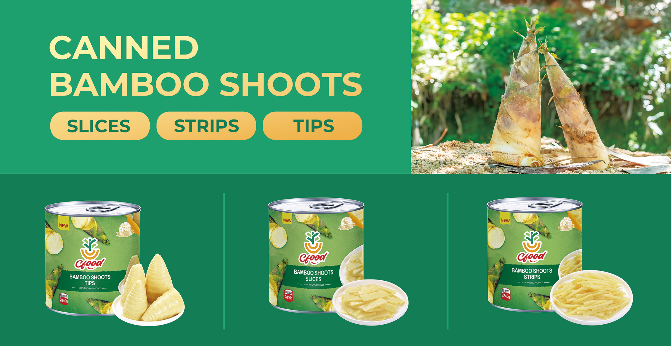 Canned Bamboo Shoots： Slices/Strips/Tips/Halves
