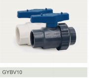 Pp valve