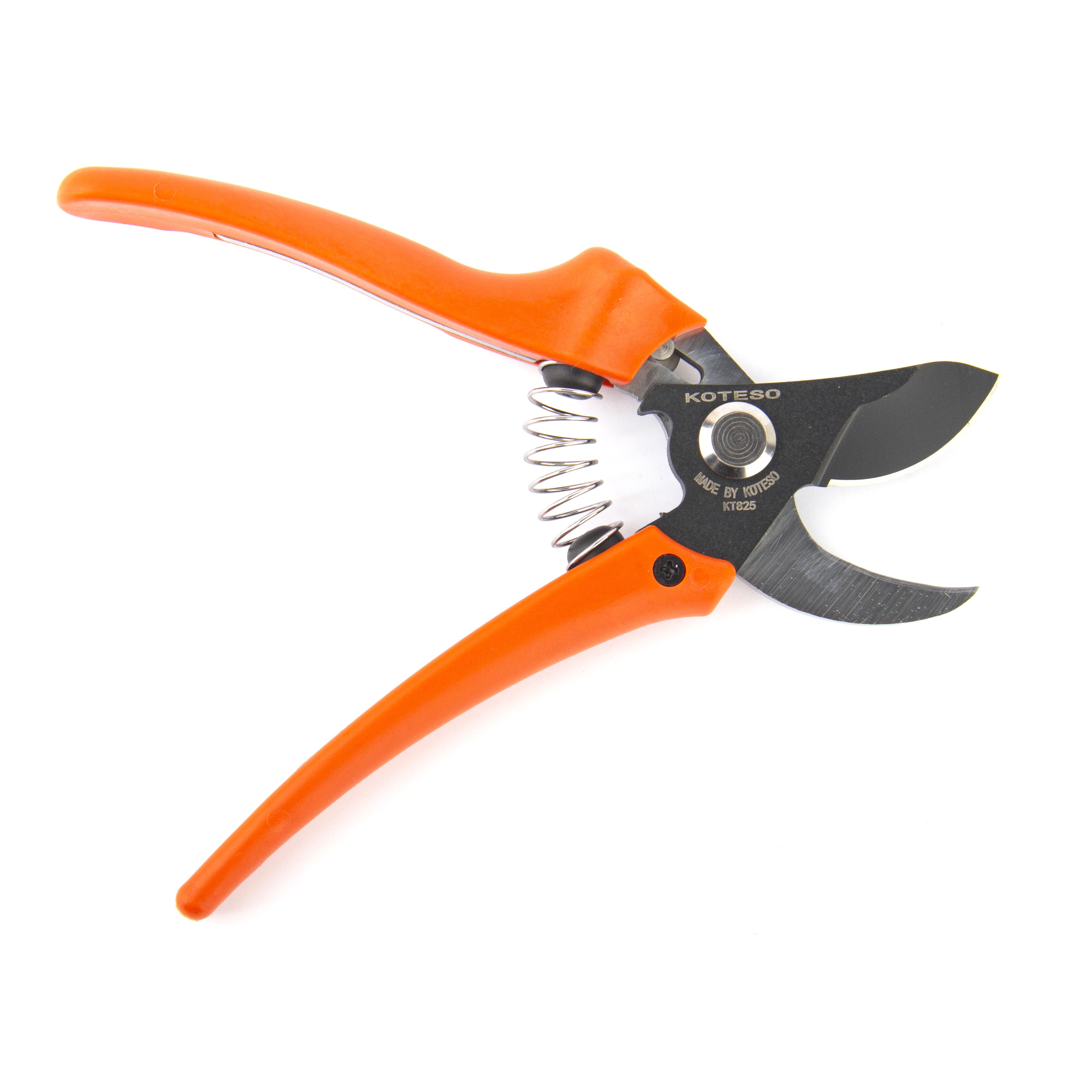 KOTESO KT 825 Hand Pruner Garden Shears