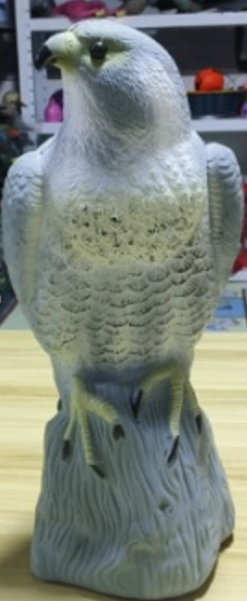 Pest Control, eagle, Garden decoration eagle