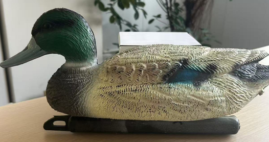 Duck, Garden decoration Duck