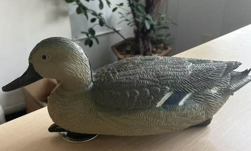 Pest Control, fake bird, duck, drake,goose