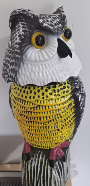 Garden Owl