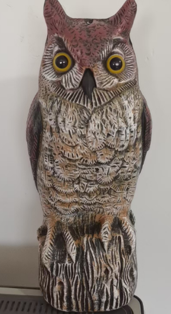 Garden Owl