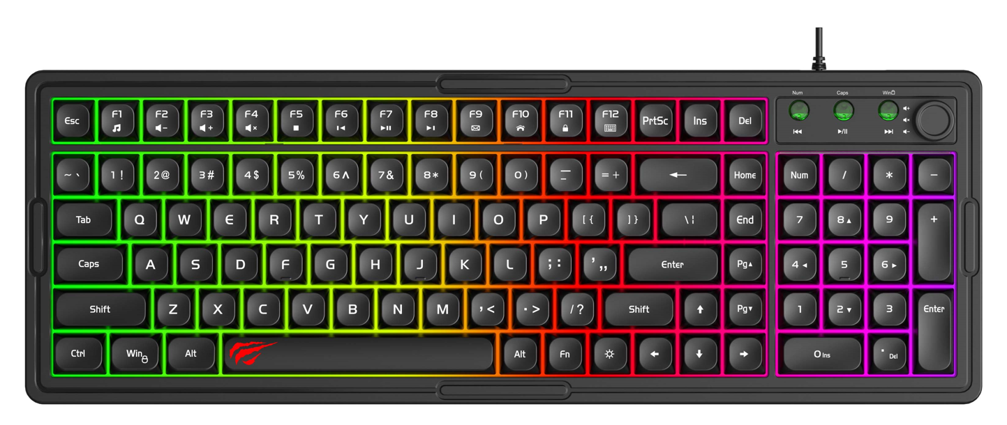 HAVIT KB866L Pro Gaming Keyboard