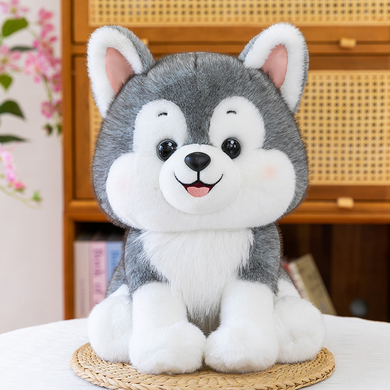 Stupid and Cute Husky