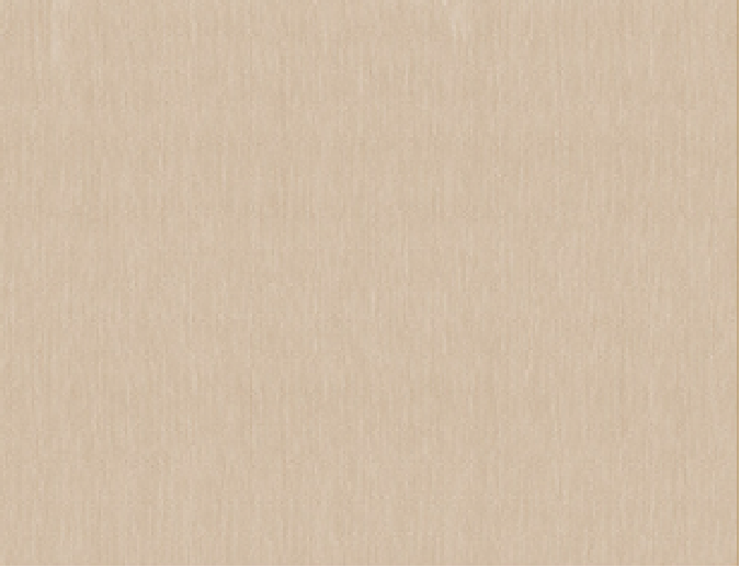Delza | Minimalist Beige Textured Rug