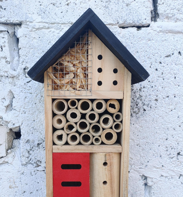 Insect House