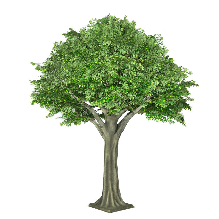 Songtao A10 5M Tall Artificial Ficus Tree Decorative Fiberglass Plant