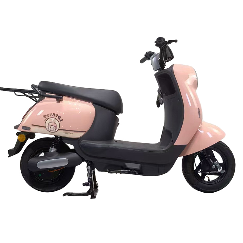 Electric bicycles, electric scooters g1