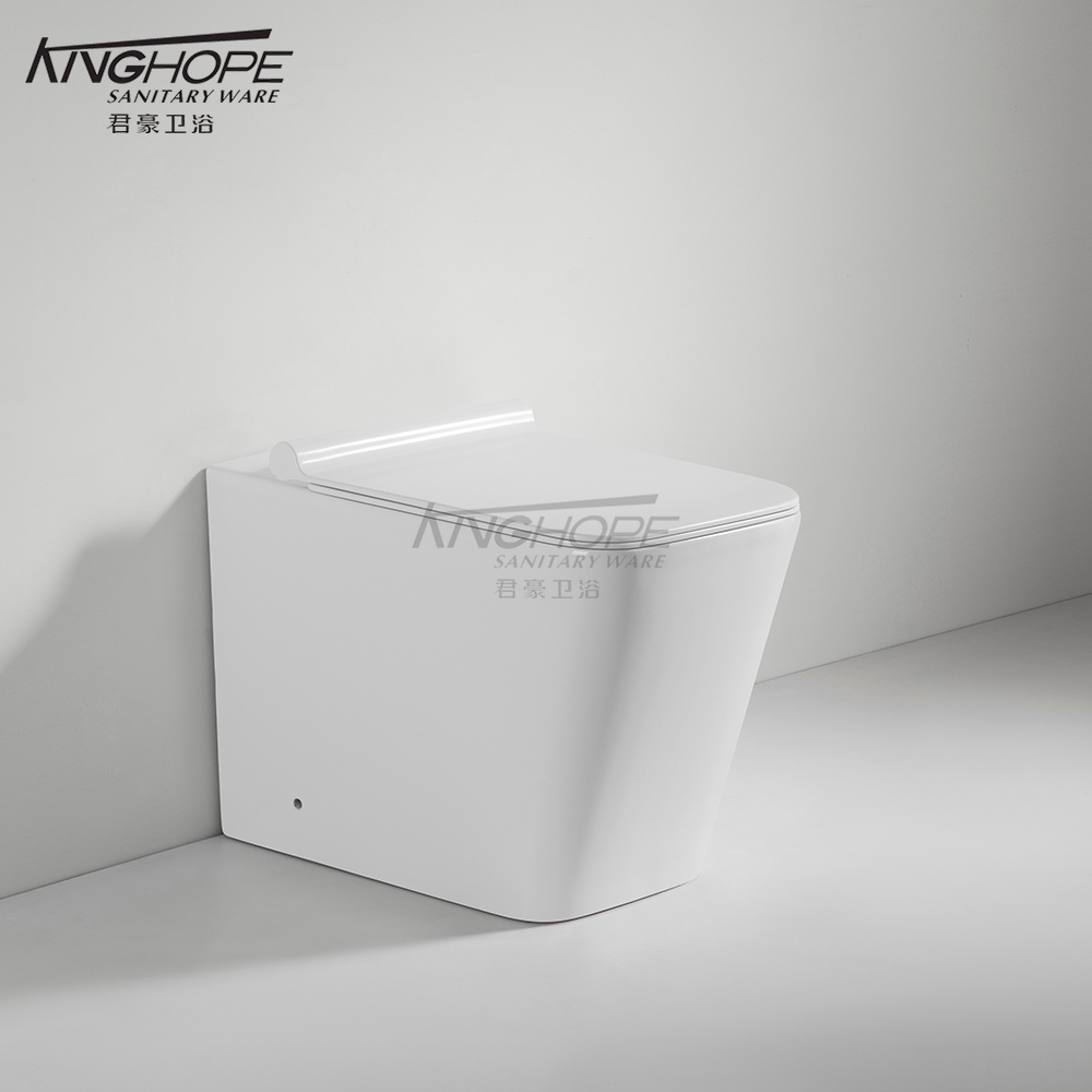 Eco-Friendly Floor-Mounted Ceramic Rimless Toilet Space-Saving OEM Service Sanitary Ware