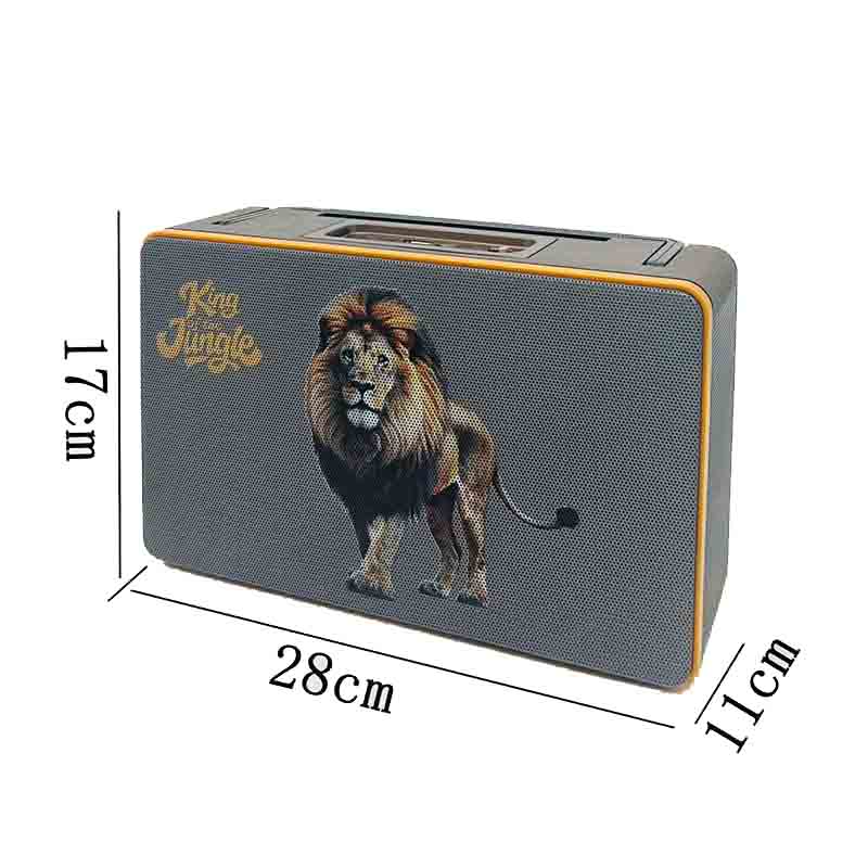 Professional Retro Karaoke Wireless Portable Speaker with Remote control