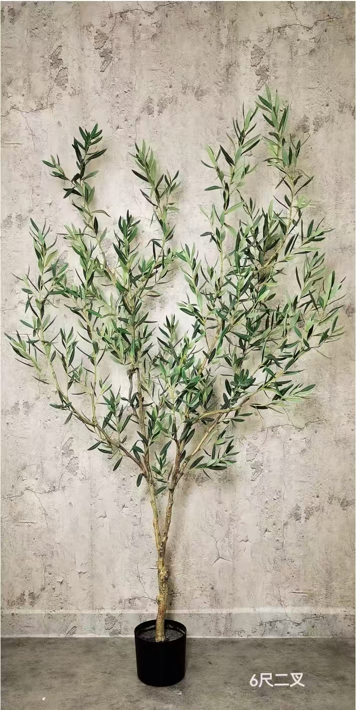 olive tree