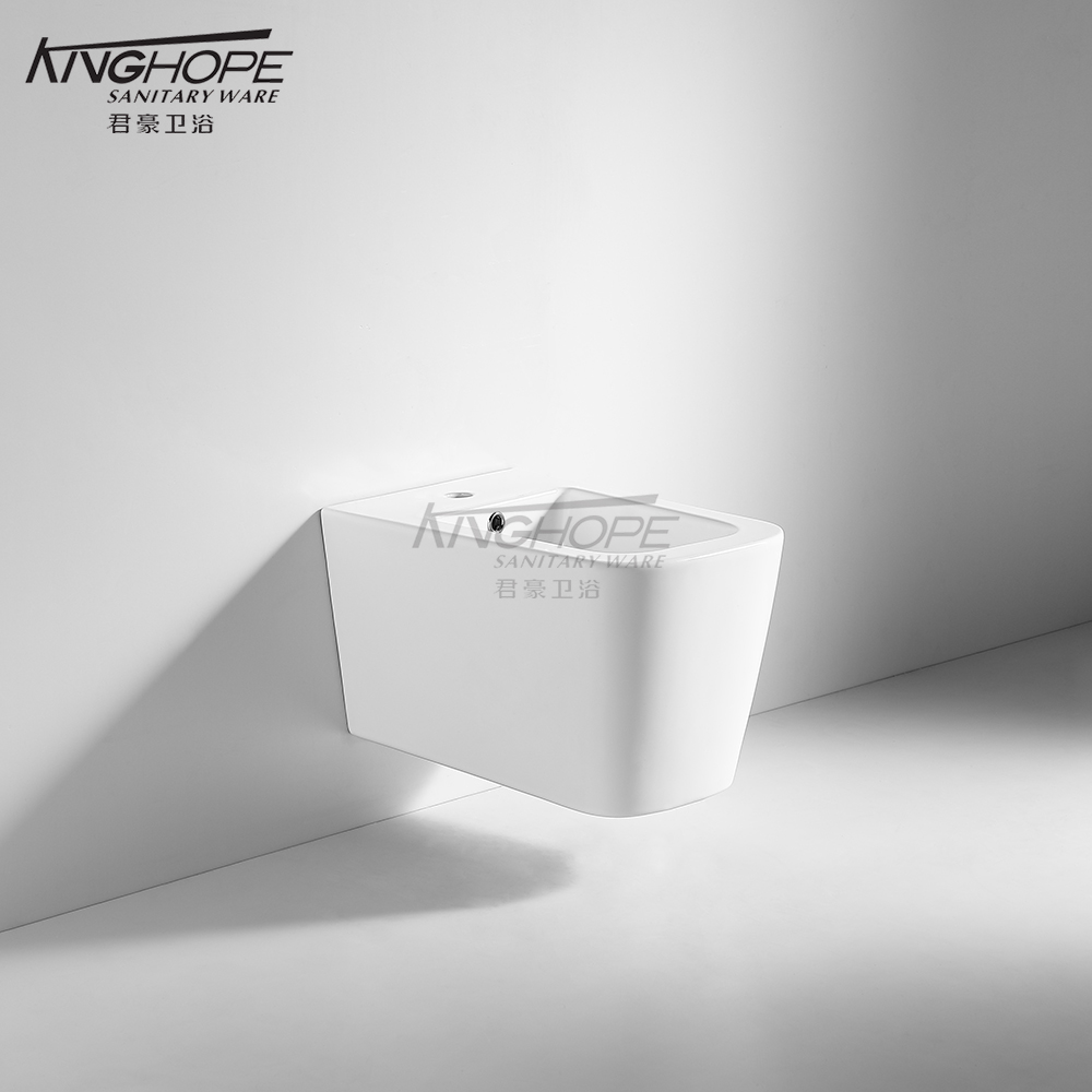 Modern Ceramic Women's Bathroom Wall-Hung Sanitary Bidet for Use with Toilet