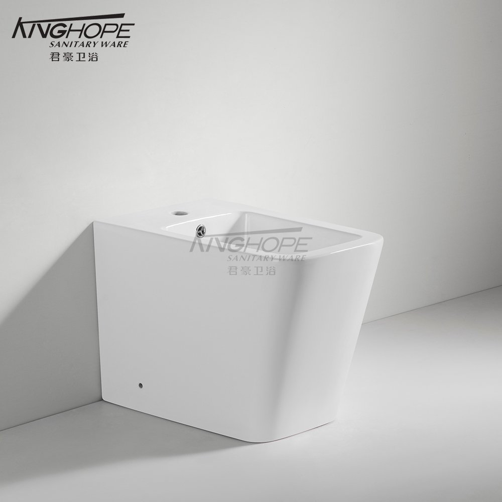 Factory Direct Sale Sanitary Ware WC Bathroom Female Fltoor-Standing Ceramic Bidet