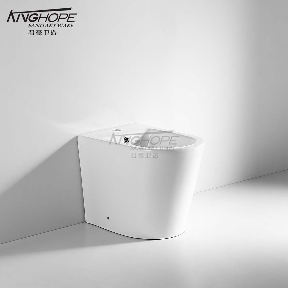 Factory Direct Sale Water-Saving Ceramic Floor Standing Bathroom Bidet