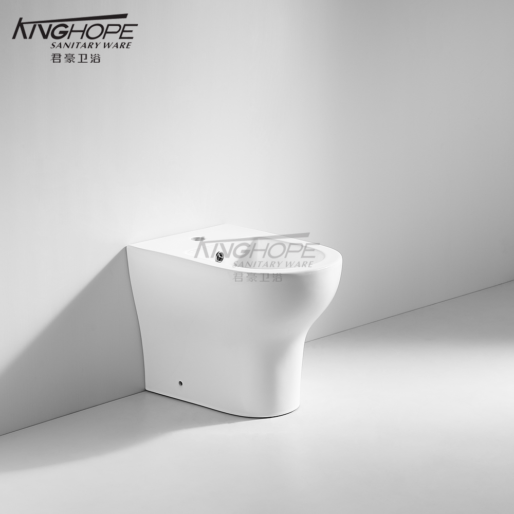 Factory Direct Sale Space-Saving Ceramic Wc Bathroom Bidet for Female for Home