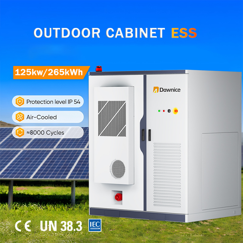 Dawnice Battery Energy Storage System air cooling Industrial and Commercial Energy Storage Container