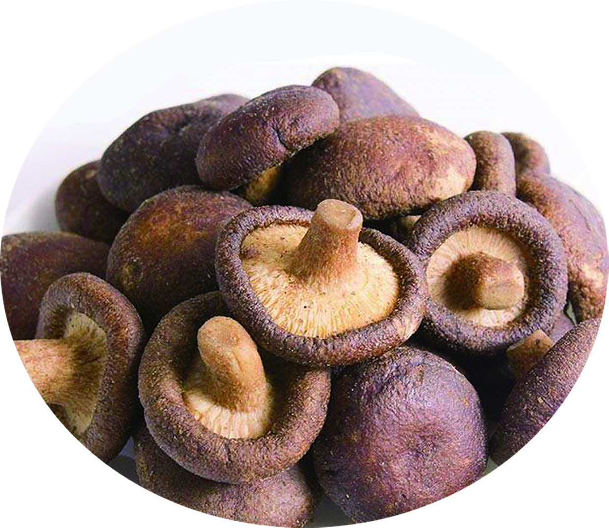 Mushroom chips