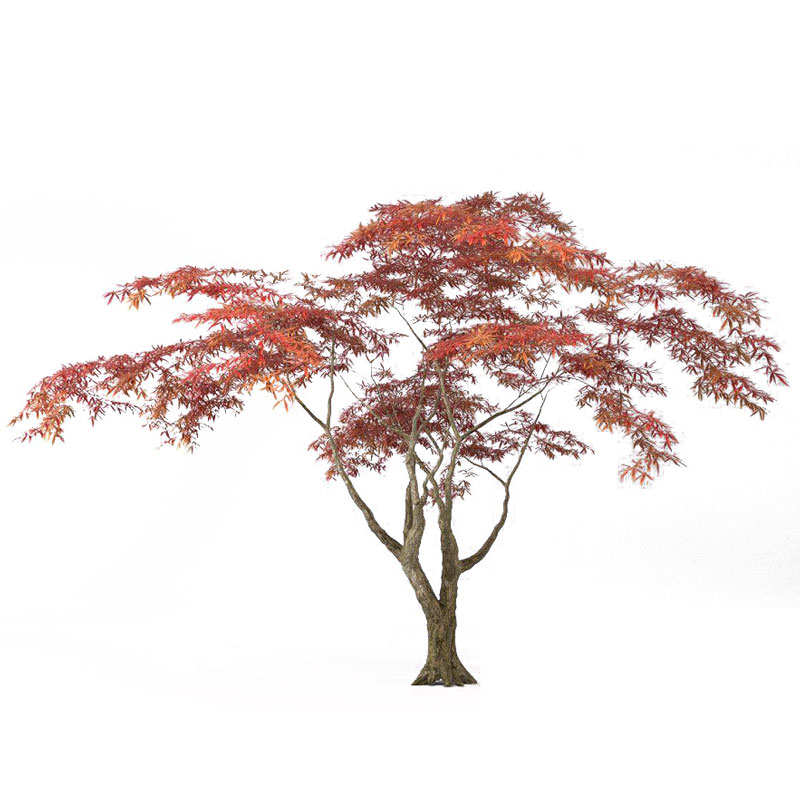 Artificial Maple Tree