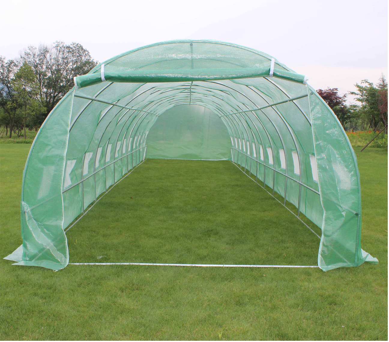 tunnel greenhouse