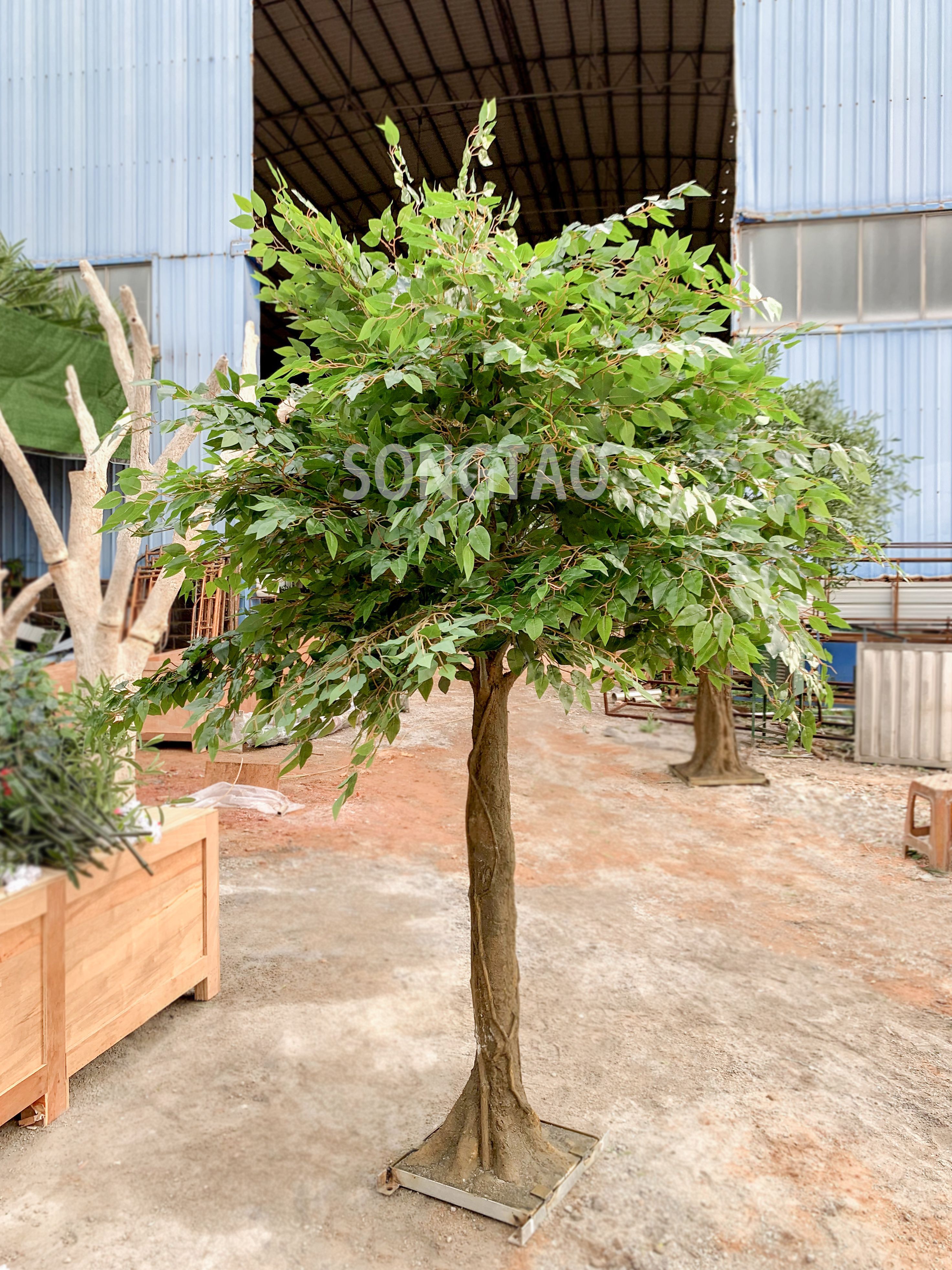 Artificial Ficus Tree