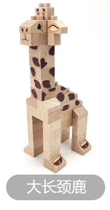 Wooden Blocks