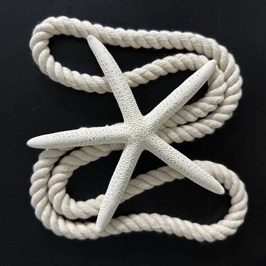 Natural starfish curtain straps