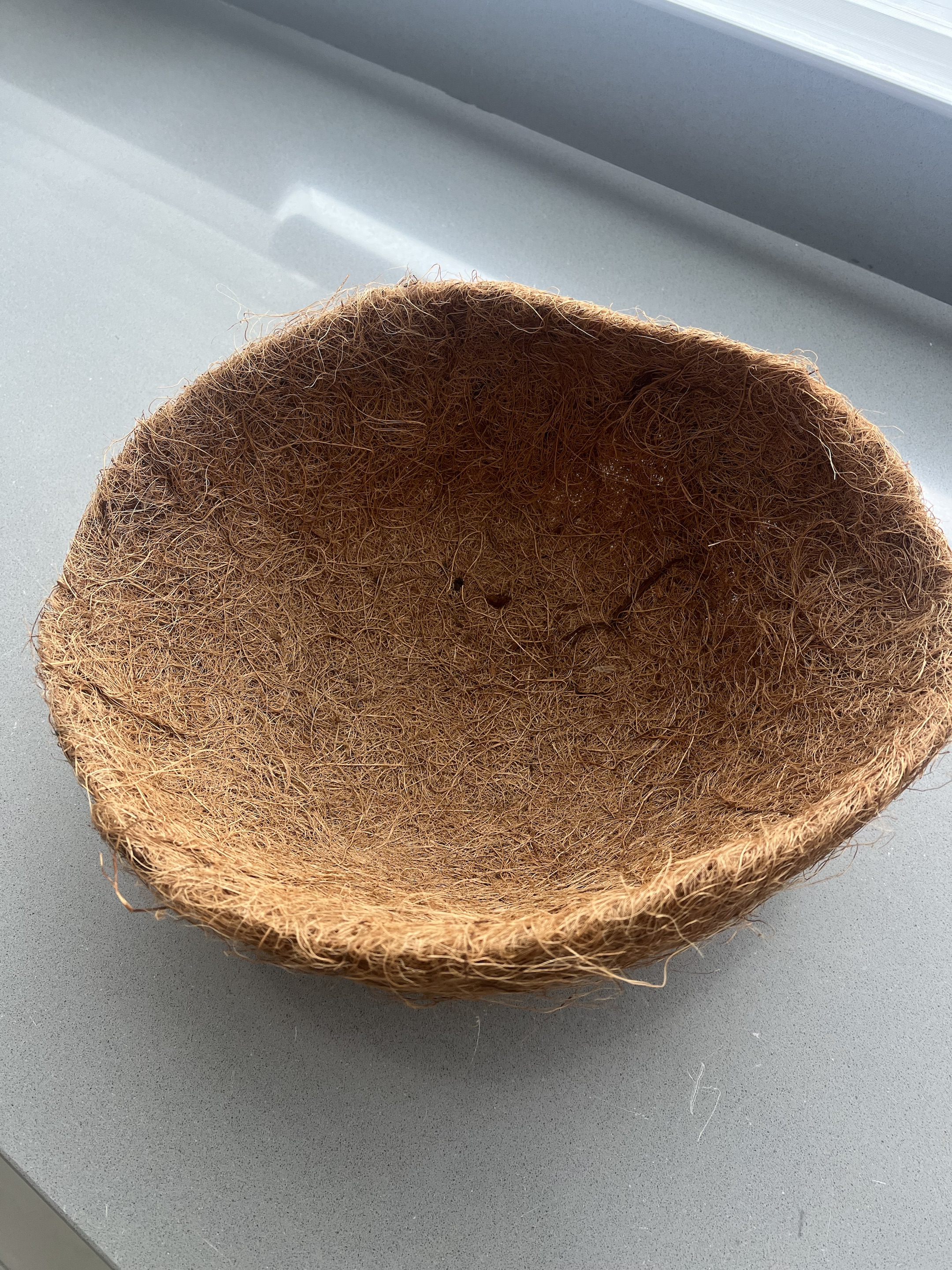Coconut Palm Pot