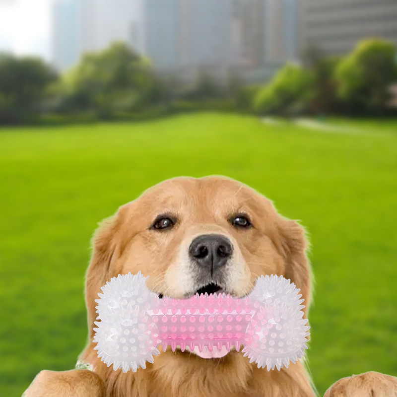 Dog chew toy bone