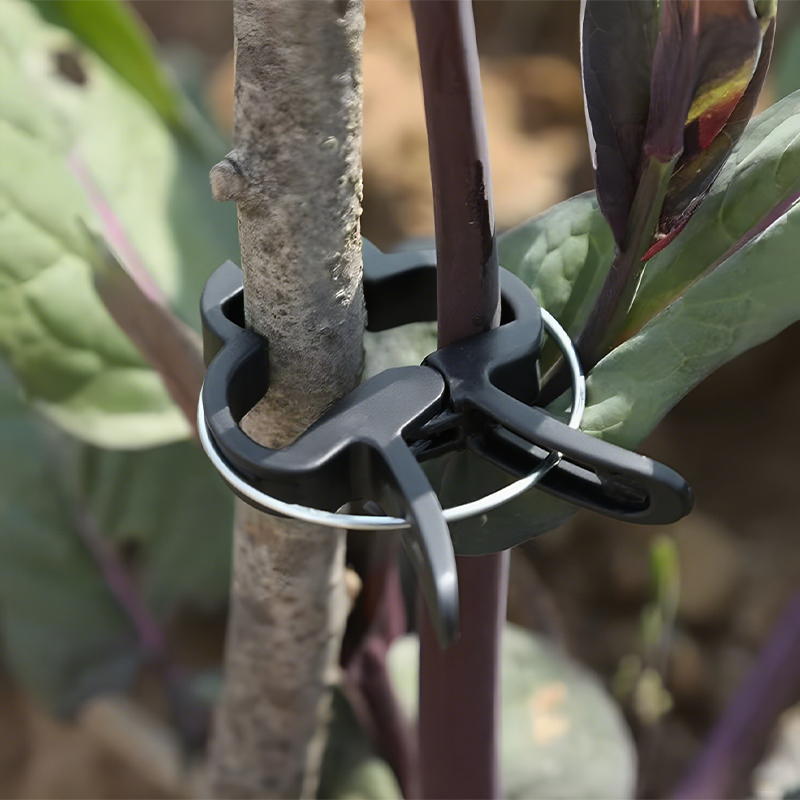 Large-sized garden clip