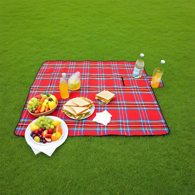 Picnic mat