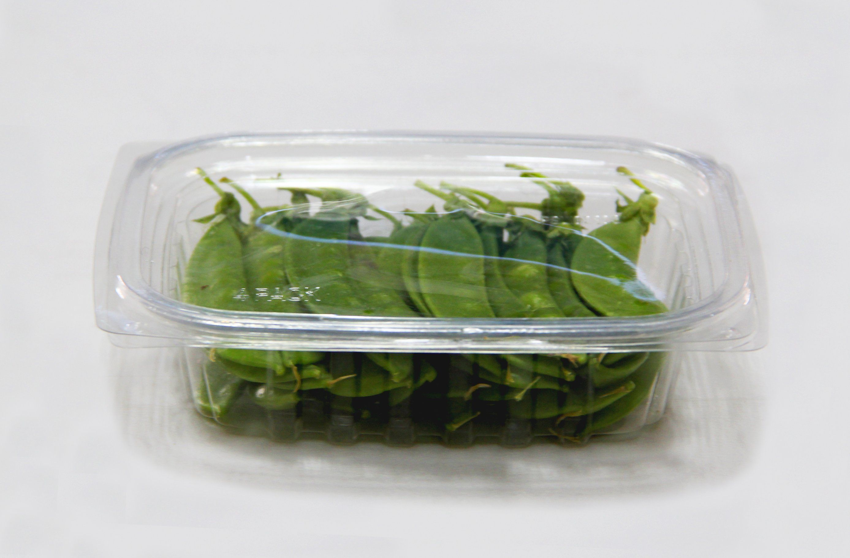 Versatile 8-32oz Clear PET Disposable Food Containers – Ideal for Takeout, Storage & More