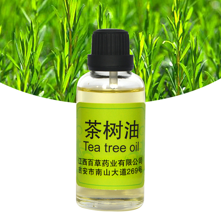 Tea tree oil, Australian tea tree oil，Cajeput oil