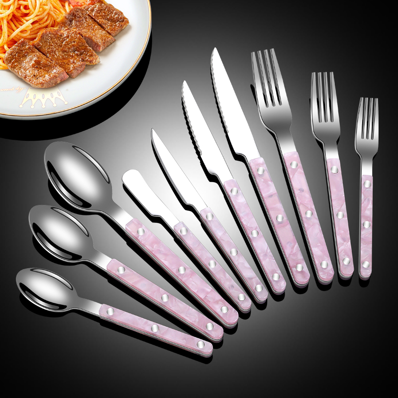 Stainless Steel Cutlery Set with Rivet Design Plastic Handle