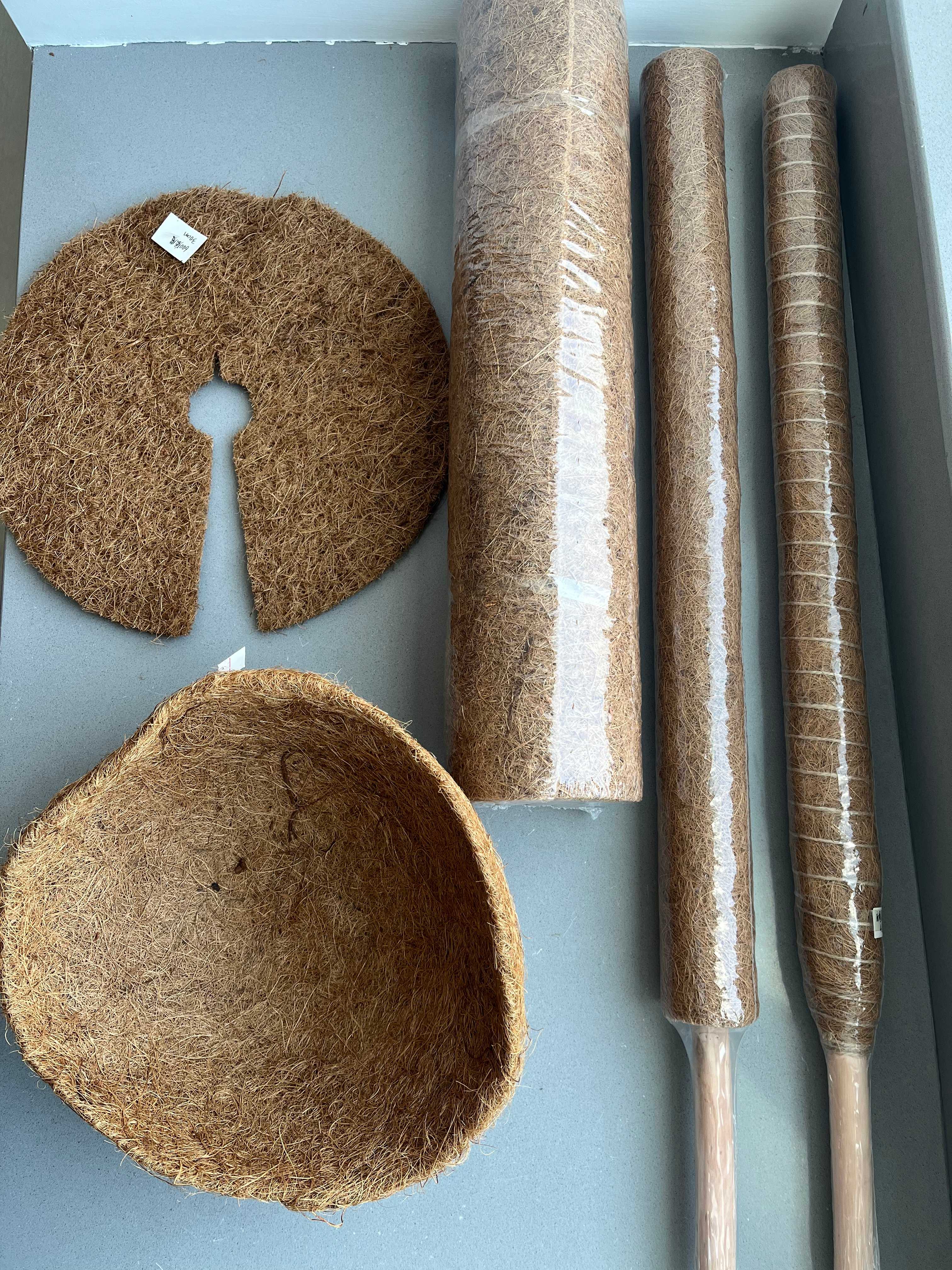 Coconut Palm Stick