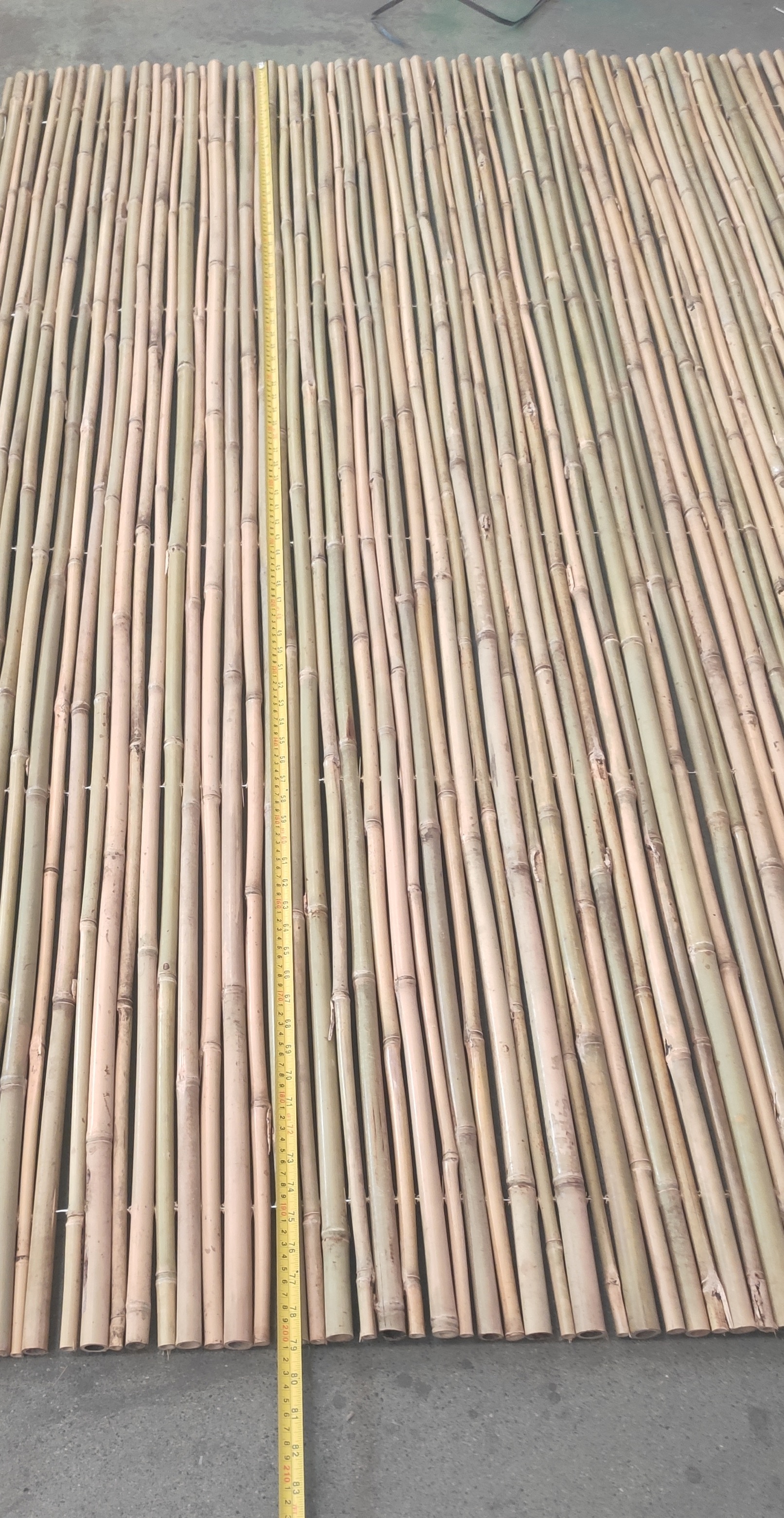 Bamboo fence